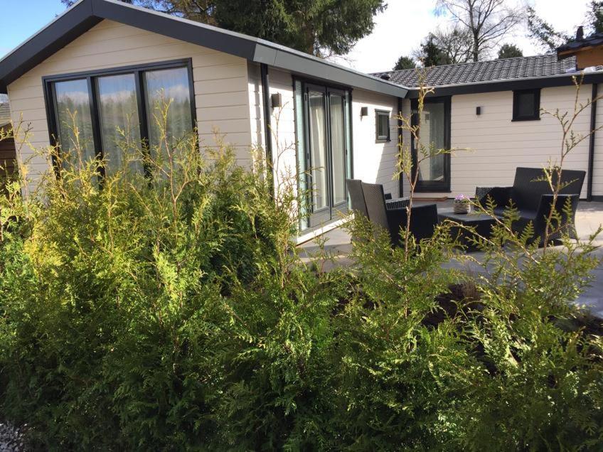 Huisjes Putten Reewold Chalet In Rustige En Mooie Omgeving Exterior photo